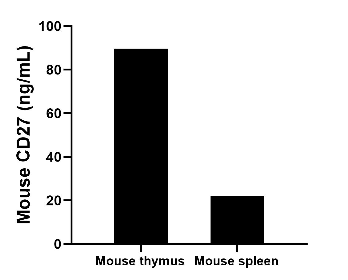 Sample test of MP01069-2